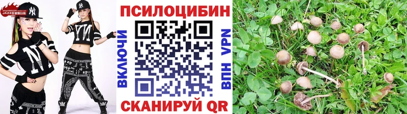 Псилоцибиновые грибы Psilocybine cubensis  Купить где  Волгодонск 